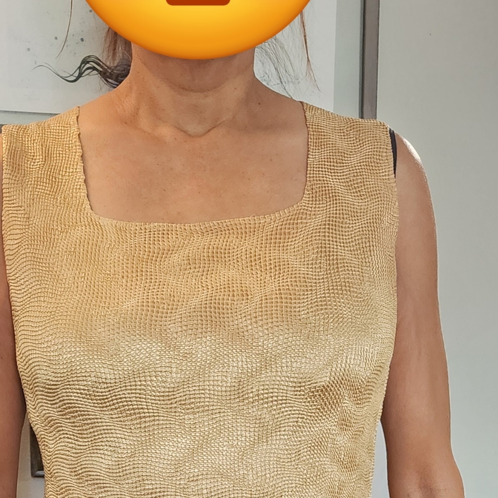 Gold sleeveless top.